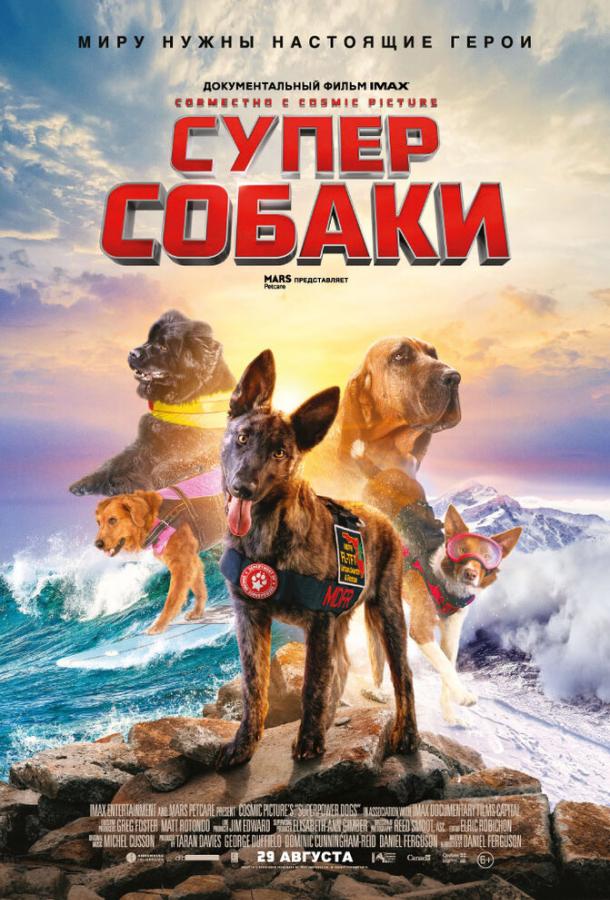 Суперсобаки (2019) онлайн бесплатно